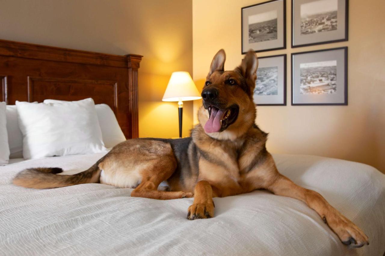 Best Western Plus King'S Inn And Suites Kingman Zewnętrze zdjęcie